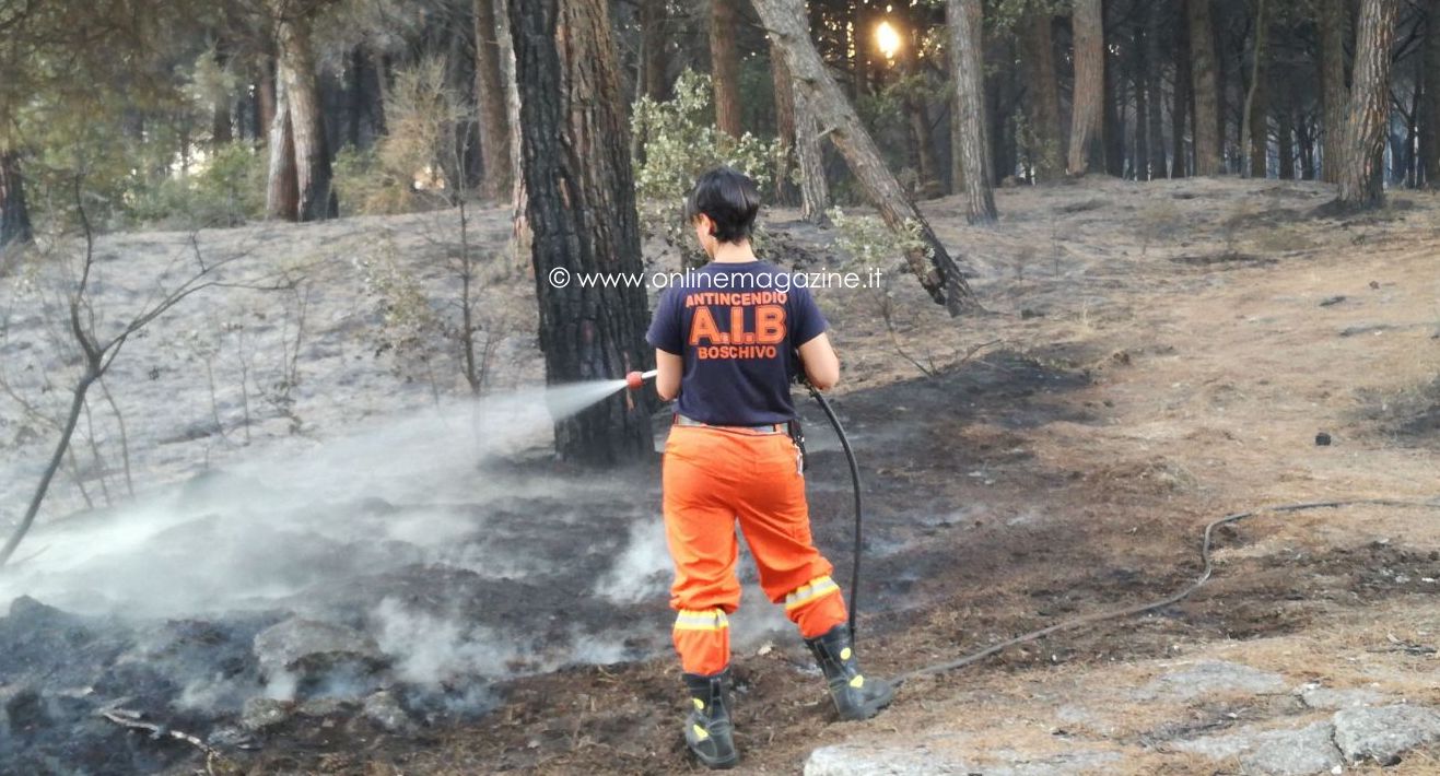 Incendi boschivi in Campania, approvato il piano regionale: stanziati oltre 51milioni per 3 anni