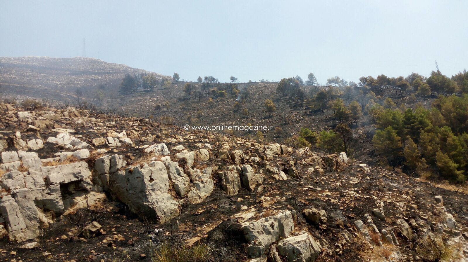 Vico Equense. Spento l’incendio sul Monte Faito, la montagna diventa un deserto nero (FOTO)