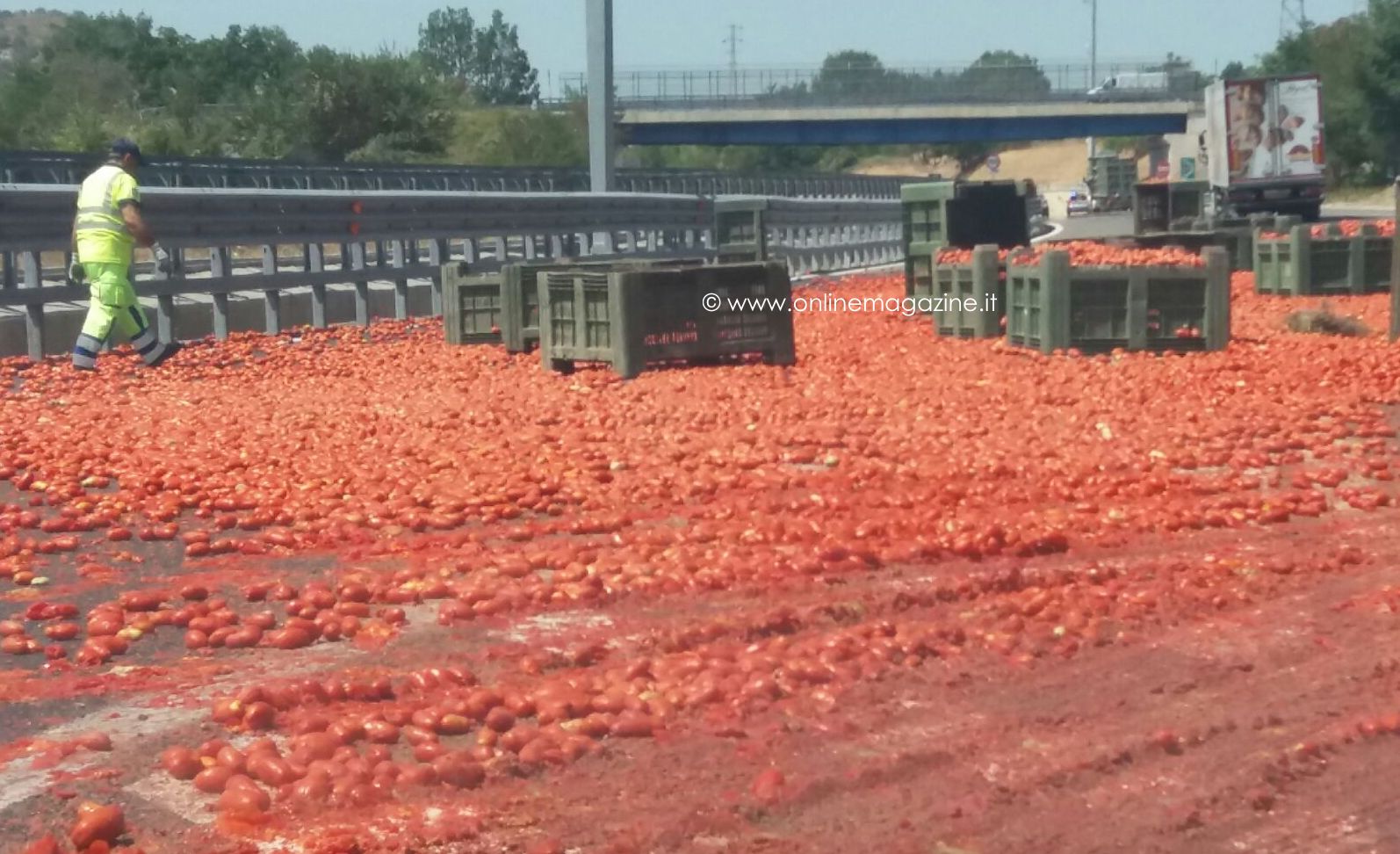 Camion perde il carico: carreggiata invasa dai pomodori, tragedia sfiorata