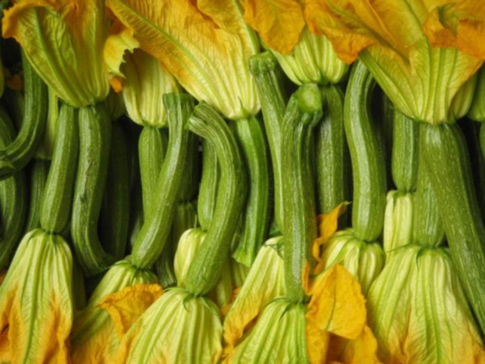 Acerra. Albanesi rubano 25 casse di zucchine: fermati dai carabinieri