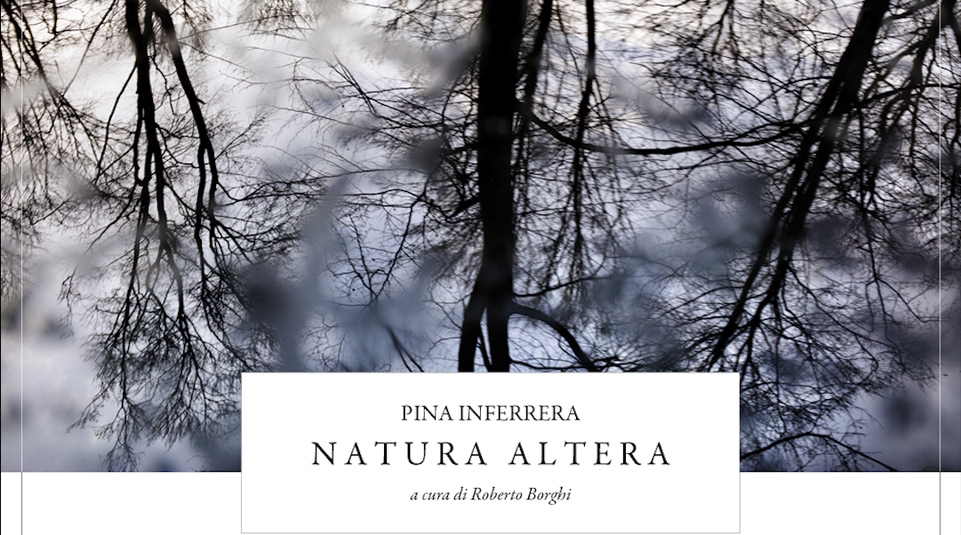 Il 25 novembre sarà inaugurata la mostra ”Natura Altera” al Palazzo delle Arti di Napoli