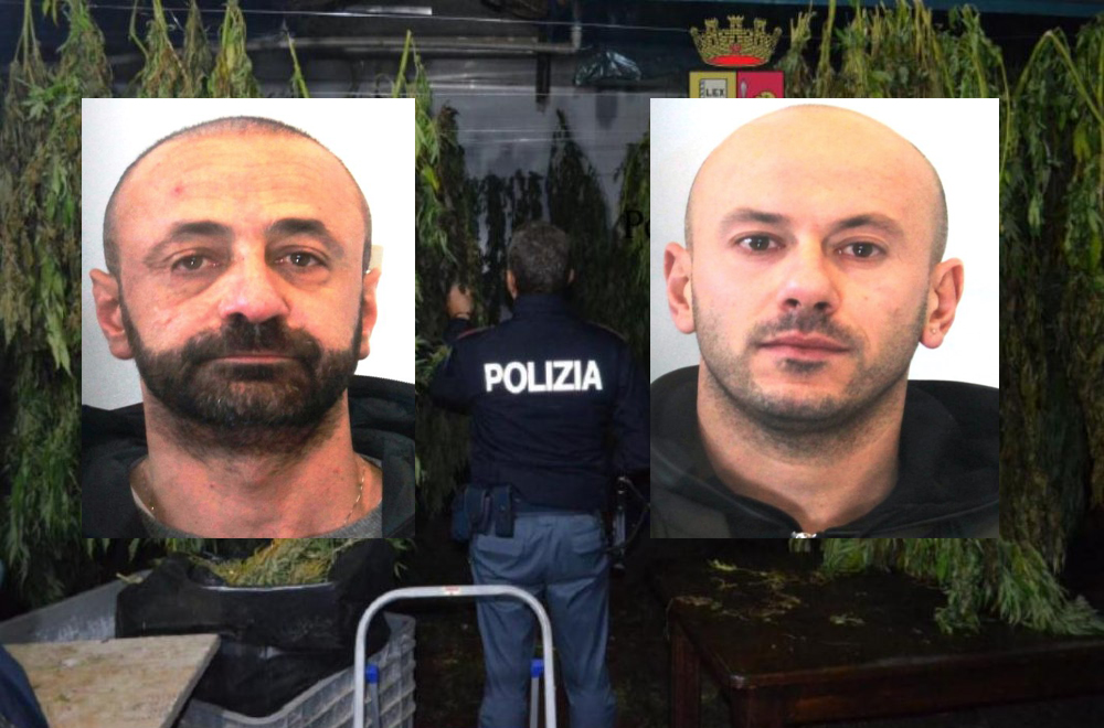 Castellammare, coltivavano marijuana in un fondo agricolo: arrestati (VIDEO)