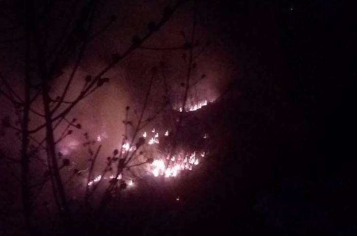 Vico Equense. Brucia la montagna: provvidenziale l’intervento dell’AVF