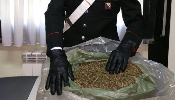 Boscoreale. Con 5kg di Marijuana in casa: arrestato 63enne