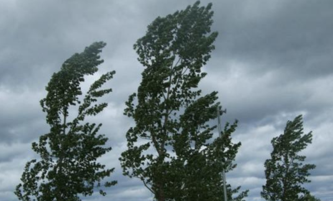 Meteo, in arrivo vento di burrasca. Previsto un calo delle temperature