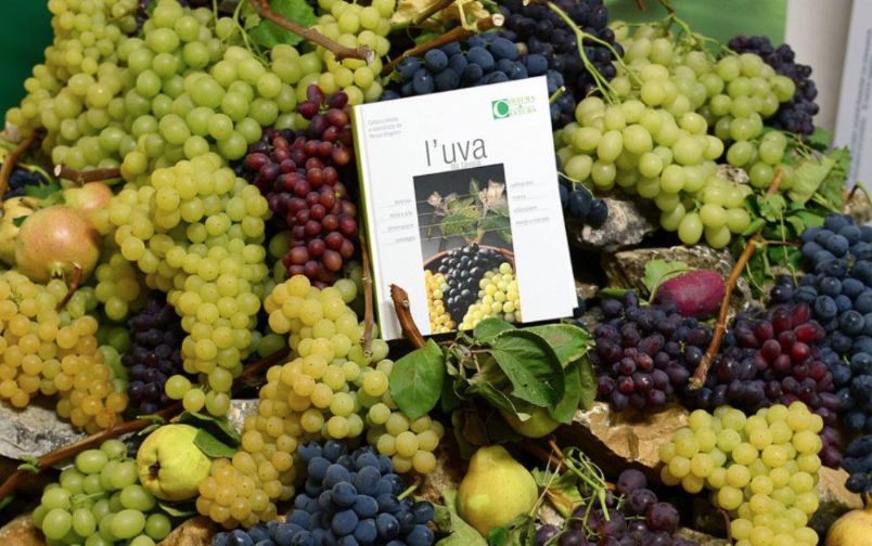 Sorrento. Festa dell’uva, tradizione e sapori al Borgo di Priora dal 4 all’ 8 ottobre