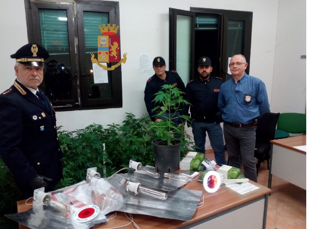Napoli. Controlli della Polizia: trovate e sequestrate 64 piante di marijuana a San Giovanni