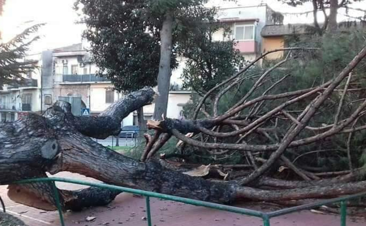 Vento forte, numerosi disagi nel Casertano: chiusa anche la reggia