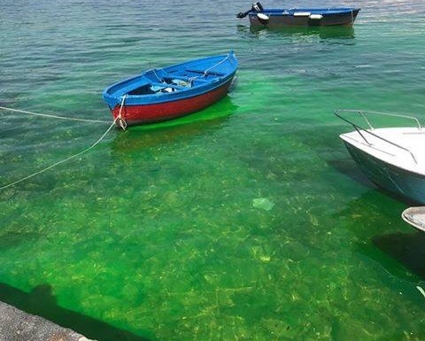 Napoli. Il mare di Riva Fiorita a Posillipo diventa verde, i Verdi: “Possibile sversamento tossico”