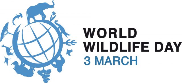 Si celebra oggi la Giornata mondiale delle specie selvatiche