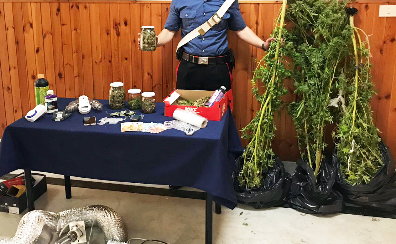 Torre Annunziata. Coltivava cannabis in casa: arrestato 26enne