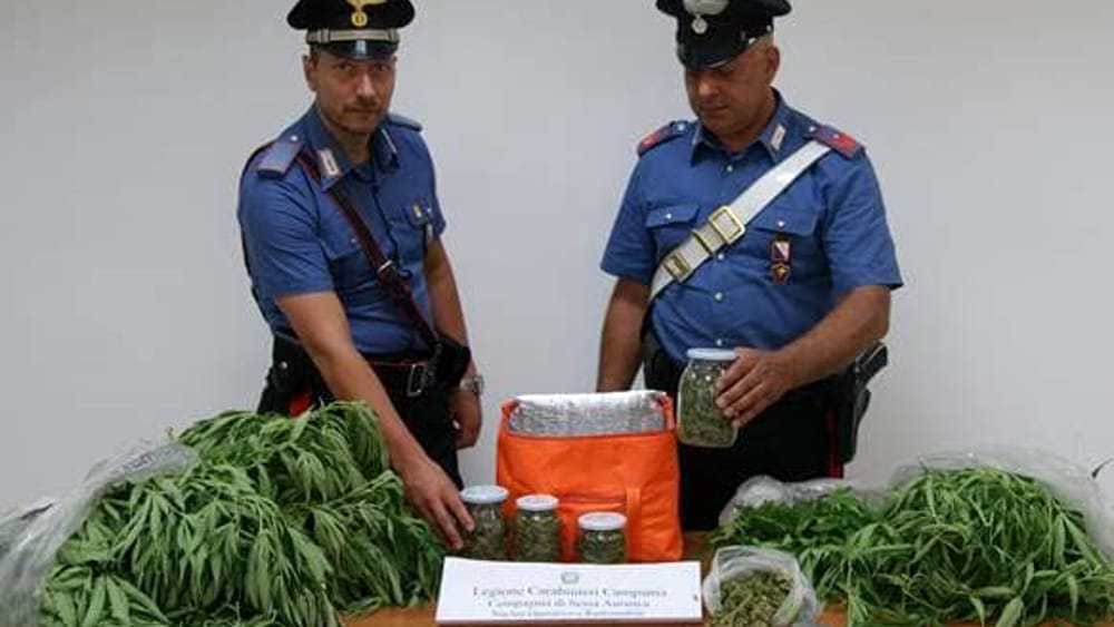 Quattro chili di marijuana in casa nel casertano: arrestato dai carabinieri