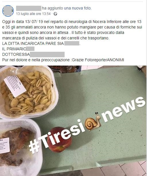 Formiche nei vassoi del pranzo all’ospedale di Nocera Inferiore, un insetto nel the anche al San Giuseppe Moscati di Aversa