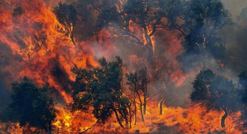 Spagna. Isole Canarie colpite da un vasto incendio: in corso l’evacuazione dell’Isola maggiore