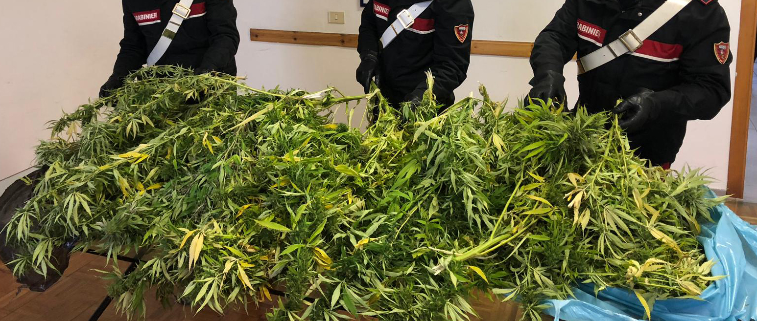 Torre del Greco. Carabinieri arrestano 27enne: era su uno scooter con due sacchi pieni di marijuana