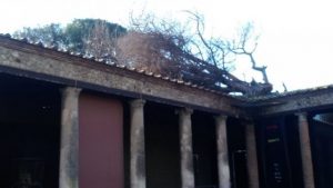 Maltempo in Campania, albero cade su Palestra Grande: vietato accesso alla zona