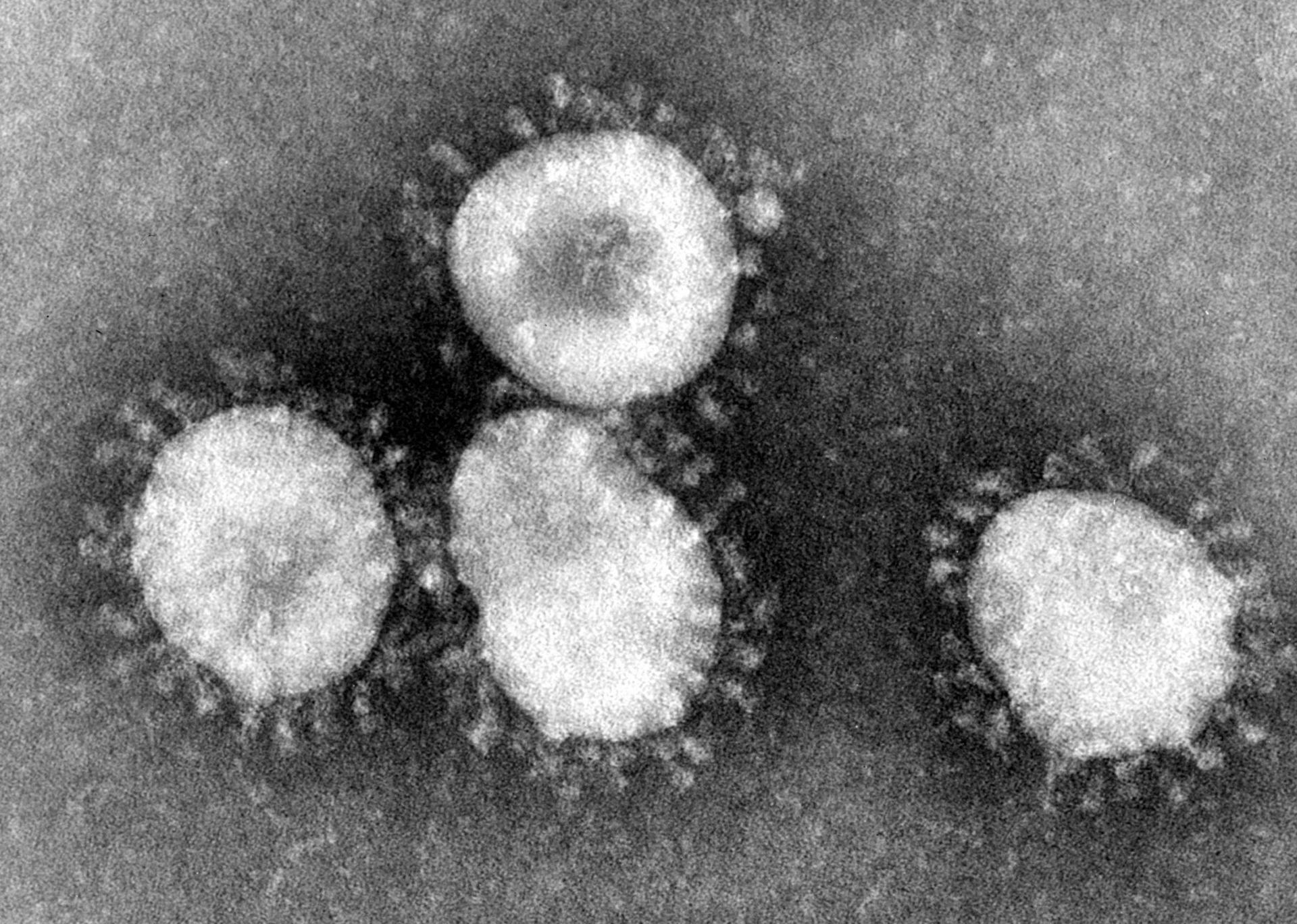 Cina, team di ricercatori cinesi: “Due farmaci in grado di combattere il Coronavirus”
