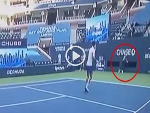 Djokovic squalificato dagli Us Open per un gesto di stizza (VIDEO)