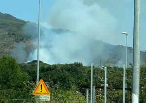Incendi, in fiamme 10 ettari di pineta nel parco del Vesuvio